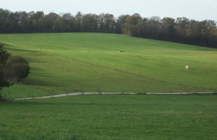 Gite Du Colombier - Foto 44