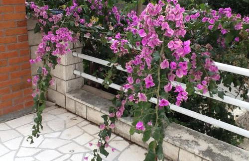 Villa Bisou - Foto 36