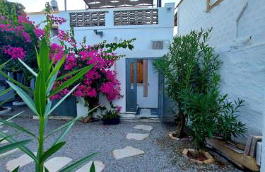 Calliope#2 - Foto 13