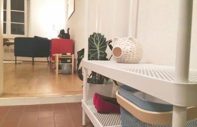 In Swiss Home - Rathaus 1284 historical - Foto 5