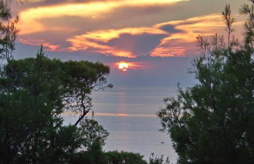 Poseidi - Villa Olivia - Foto 7