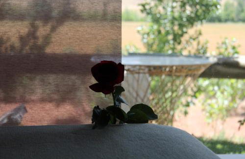 Casas Rurales Los Cortijos - Foto 45