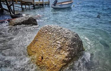 Approdo di Marina - Foto 49