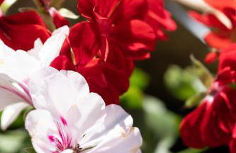 Vivelorural Casa Pepe vistas a la montaña, Tejeda - Foto 34