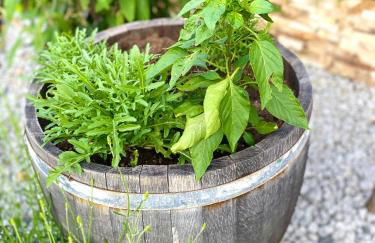 Mechlers Stuben - Foto 29