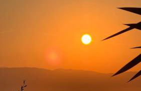 Nikoli Apartments - Foto 16