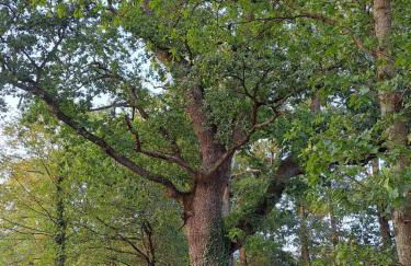 Casa Can Boix - Foto 95