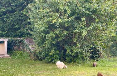 Stunning Boutique gîte Flore at Vive le Vert - Foto 32