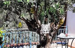 La casetta degli ulivi - Foto 4