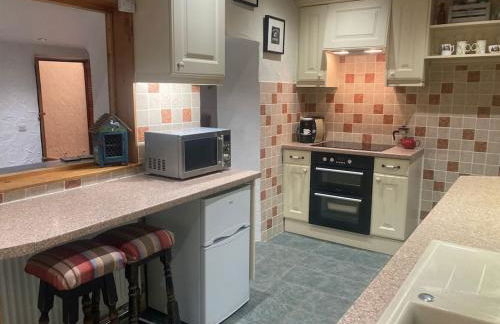 Quaint Cottage main street Llandeilo - Photo 10