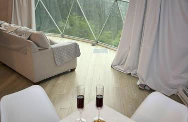 Asheville Luxury Glamping Dome - Mountain Views, and Hot Tub! - Foto 28