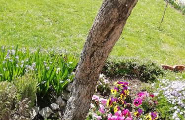 a casa di nonna Tarsilla-entire apartment,5 guests - Foto 35