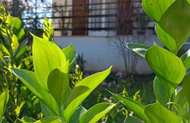 Serene Country House (near Ancient Tiryns) - Foto 10