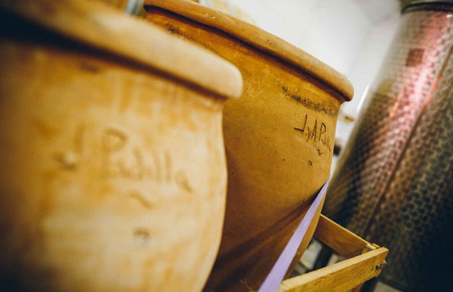 Bodegas Gratias Wine Tour - Photo 9