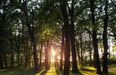 Private Apartment, Aircondition, HD TV pl & de, WiFi, Garage, fully equipped, near beach - Foto 47