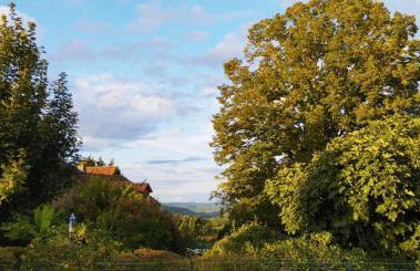La Vieille Ferme: superbe complexe de 3 gîtes en pierre avec Piscine au coeur du Périgord Noir - Foto 78