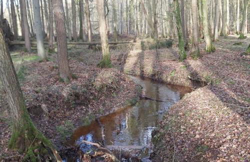 Apartment in upper floor in nature reserve. - Foto 28