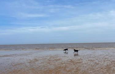 Blissful 4-Bedroom Home with Hot tub - Foto 18