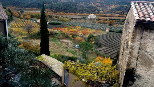 La salamandre - Foto 3