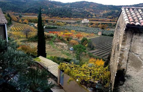 La salamandre - Foto 3