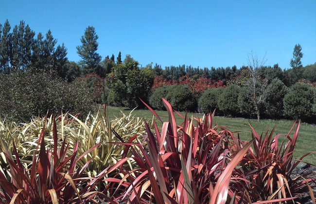 Longbourne Lodge - Foto 52