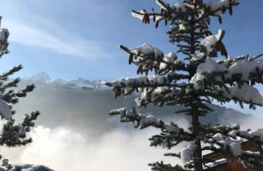 Penthouse l'Ourse Bleue - Sauna privatif - accès direct aux pistes - Foto 40