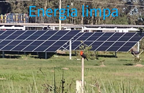 Pousada das Palmeiras - Foto 46