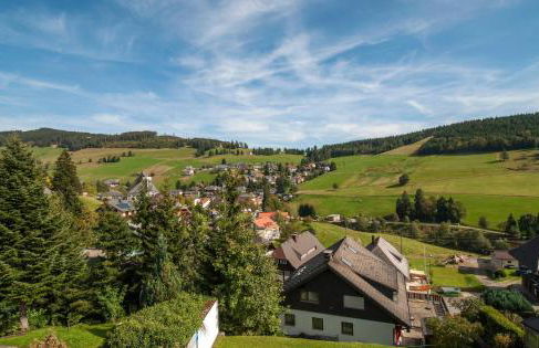 Apartment 16 - Ferienresidenz Roseneck, Galeriewohnung, mit Schwimmbad in Todtnauberg bei Feldberg - Foto 21