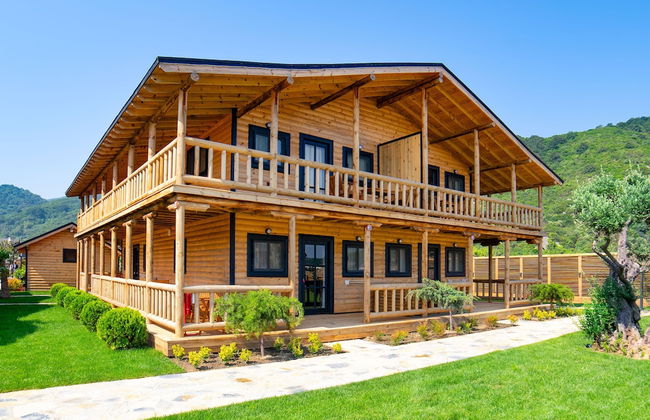 MUKHA ORMANLİ - Photo 17