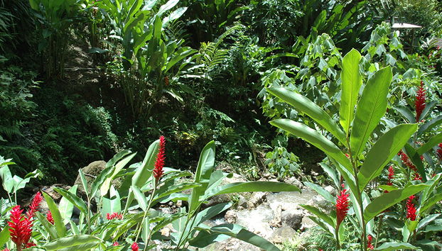 La magia natural de Soufriere - Foto 3