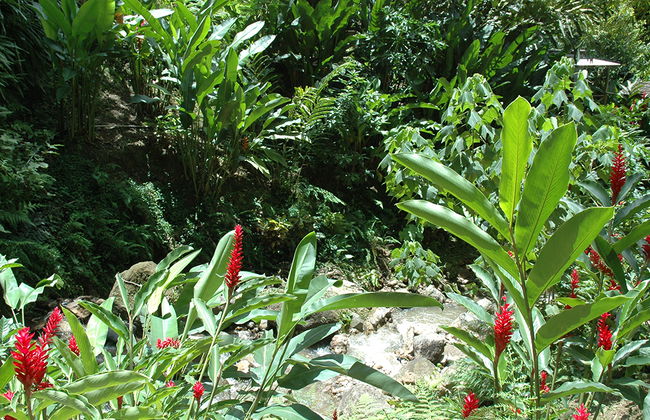 La magia natural de Soufriere - Foto 3