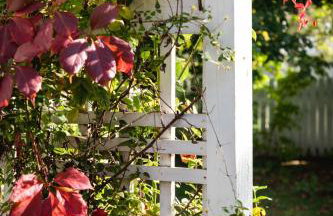 Ames Cottage Elk Rapids - Foto 26