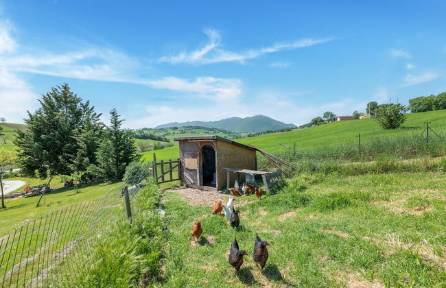 Country Escape in Matelica - Foto 48