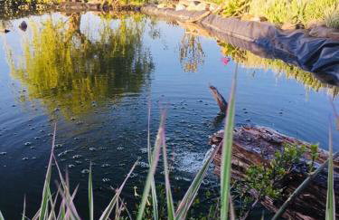 Apartament u Beti - Foto 1