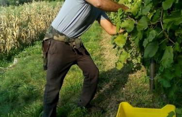 Country Club Da Cesco - Foto 39