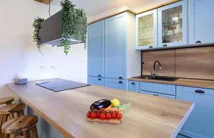 Villa Kristina - Swimming pool, Dolenja Vas - Istra - Foto 21