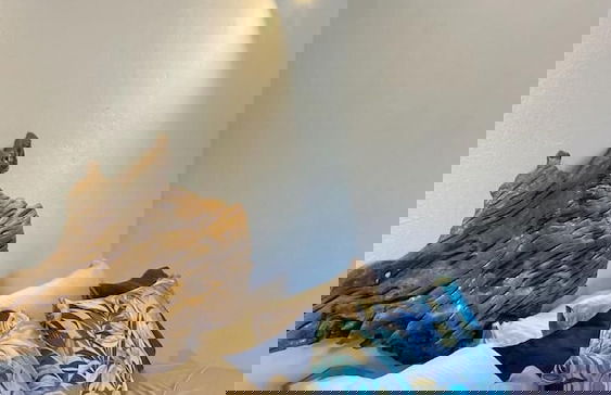 cabañas bari - Foto 1