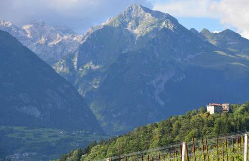 AGRITURISMO MASO PERTENER -adults friendly- - Foto 27