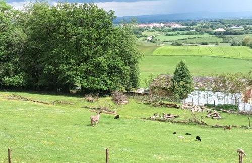 Les terrasses de la loue au domaine de Tara - Foto 10