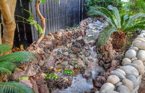 A Tranquil Retreat in Tarzana CA - Foto 45