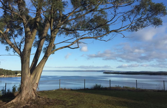 Glenaire Apartments on Frazer St - Foto 35