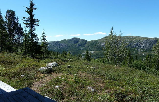 Furulie Cabin - Flå - Foto 17