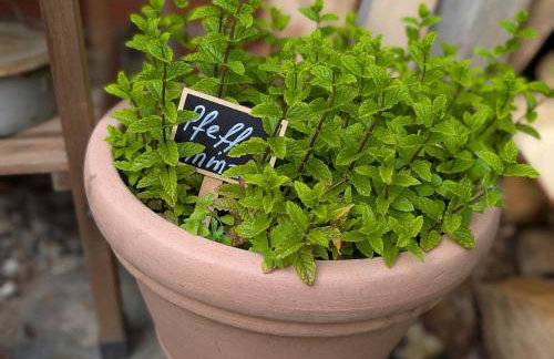 Ferienhaus Bodebaude - Photo 18