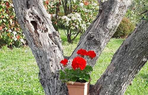 Cumana Blu Apartments - Foto 19