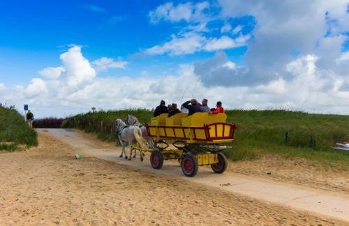 CuxDuHier - Photo 15