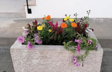 Casa da Ilha Granjal Treixedo - Foto 21