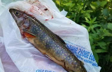 Sandy Hollow - Photo 22