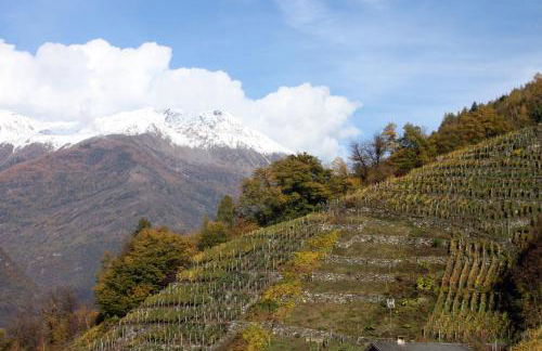 La Madonnina - Foto 41