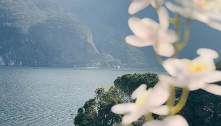 Buddy'S House Lake view Pet friendly whit garage - Foto 3