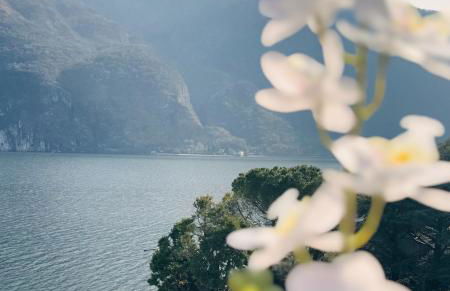 Buddy'S House Lake view Pet friendly whit garage - Foto 3